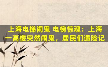 上海电梯闹鬼 电梯惊魂：上海一高楼突然闹鬼，居民们遇险记